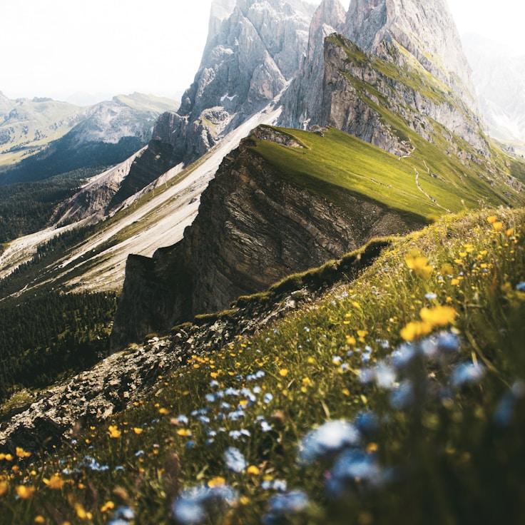 National parks landscape